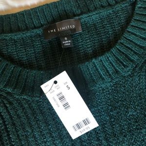 The Limited Blue Green Sweater